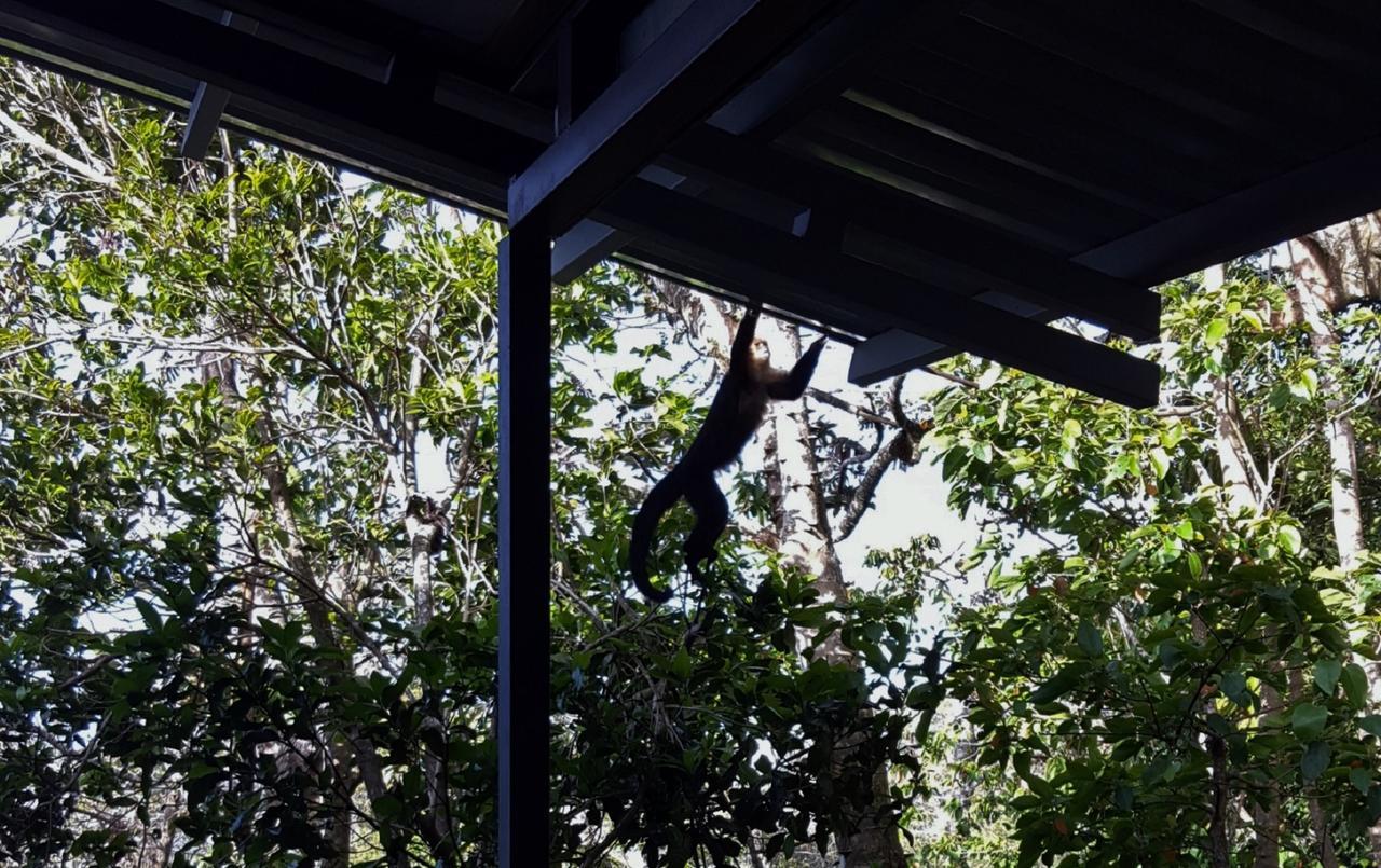 Above The Gulf, Vacation House Monteverde 외부 사진